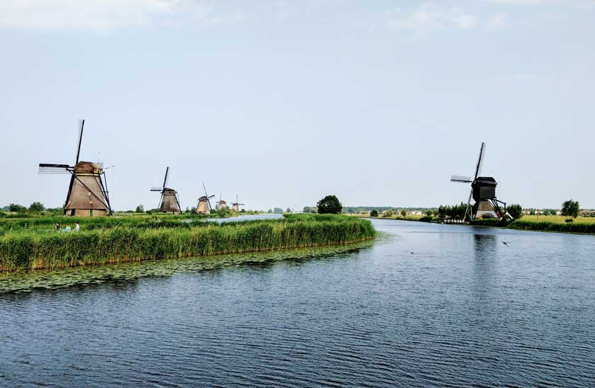 Tulips and Windmills of The Netherlands